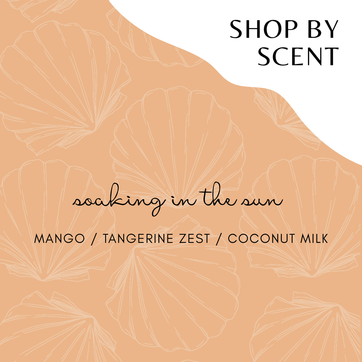 SCENT: soaking in the sun