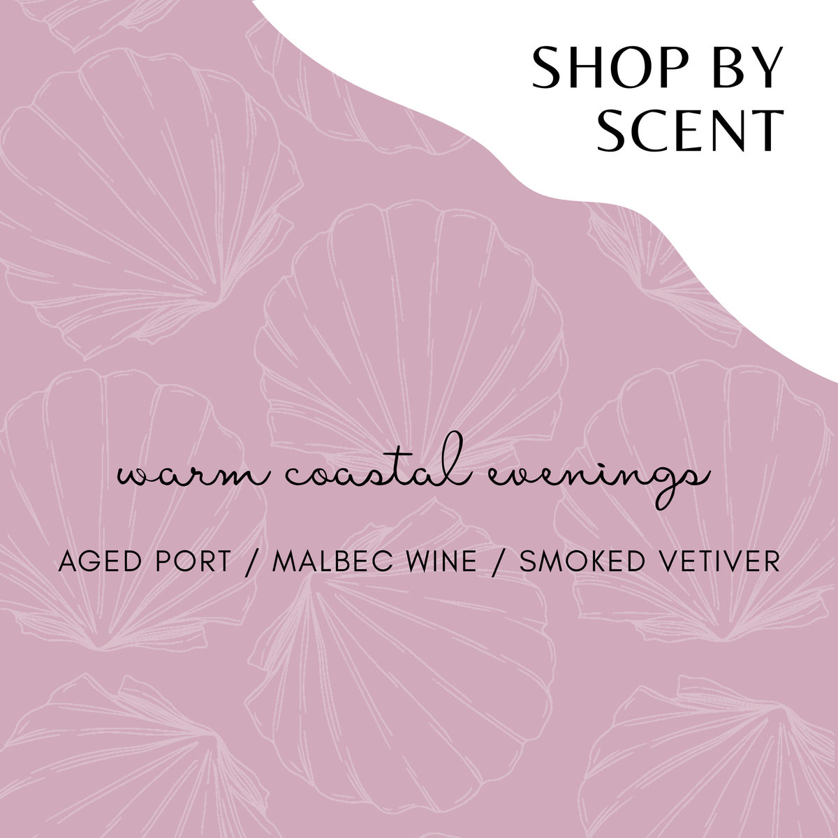 SCENT: warm coastal evenings