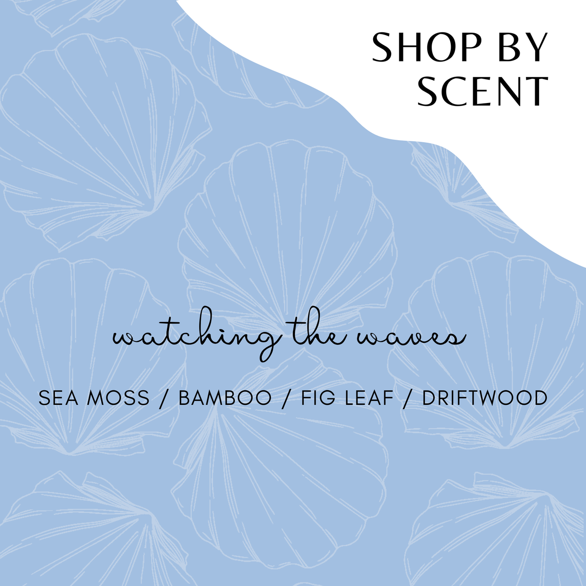 SCENT: watching the waves